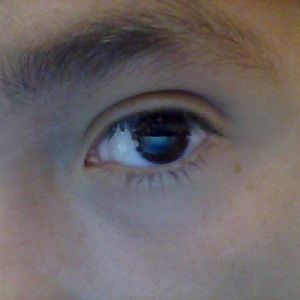 Meet your Posher, Raymond